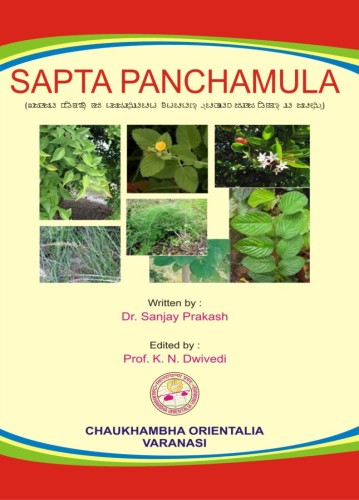 Sapta Panchamula