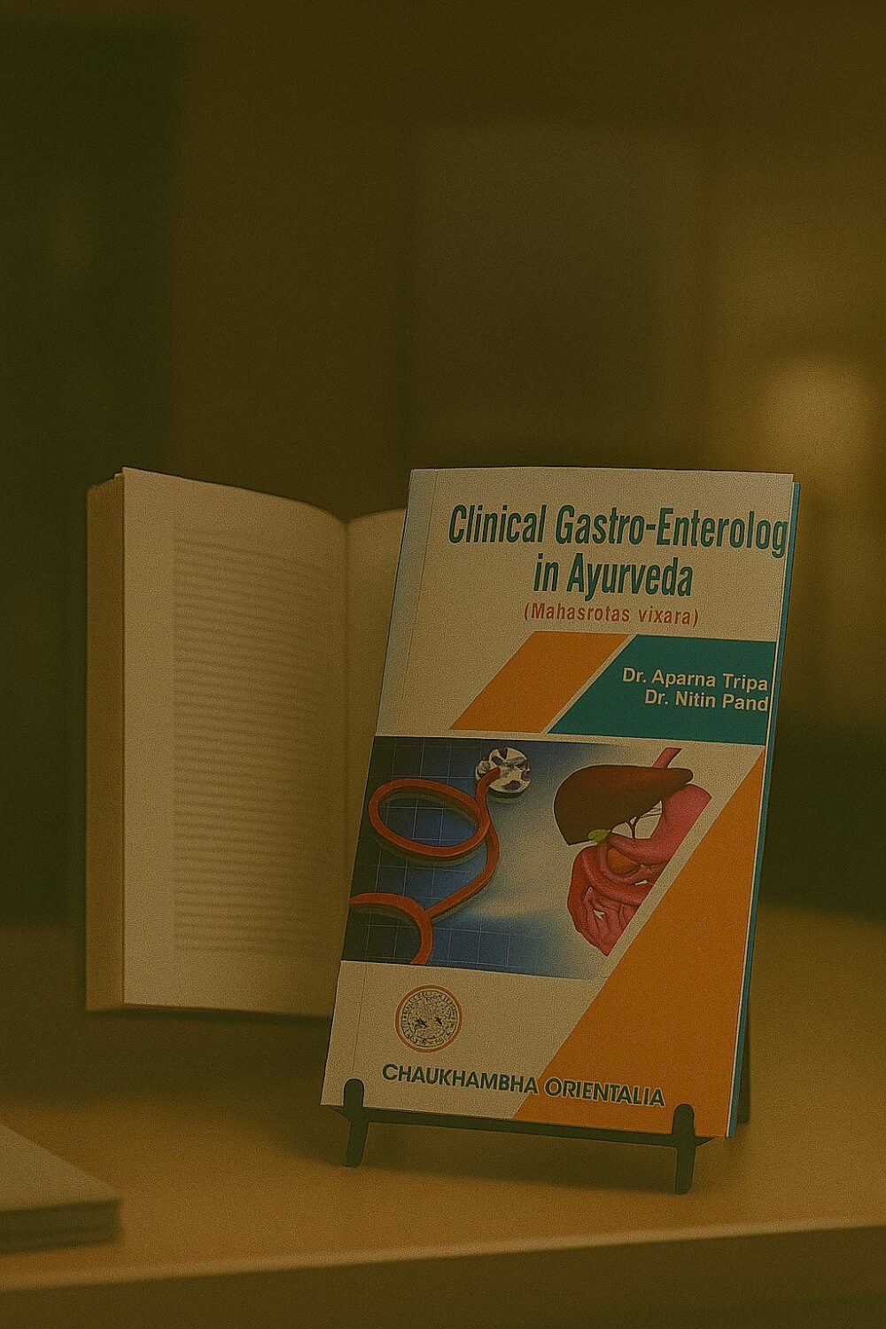 Clinical Gastro-Enterology in Ayurveda (Volume 1)