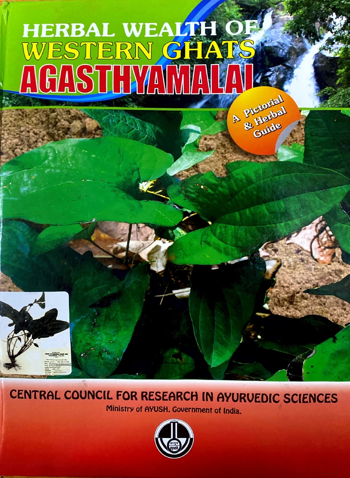 Herbal Wealth of Western Ghats Agasthyamalai – A Pictorial & Herbal Guide - Image 2